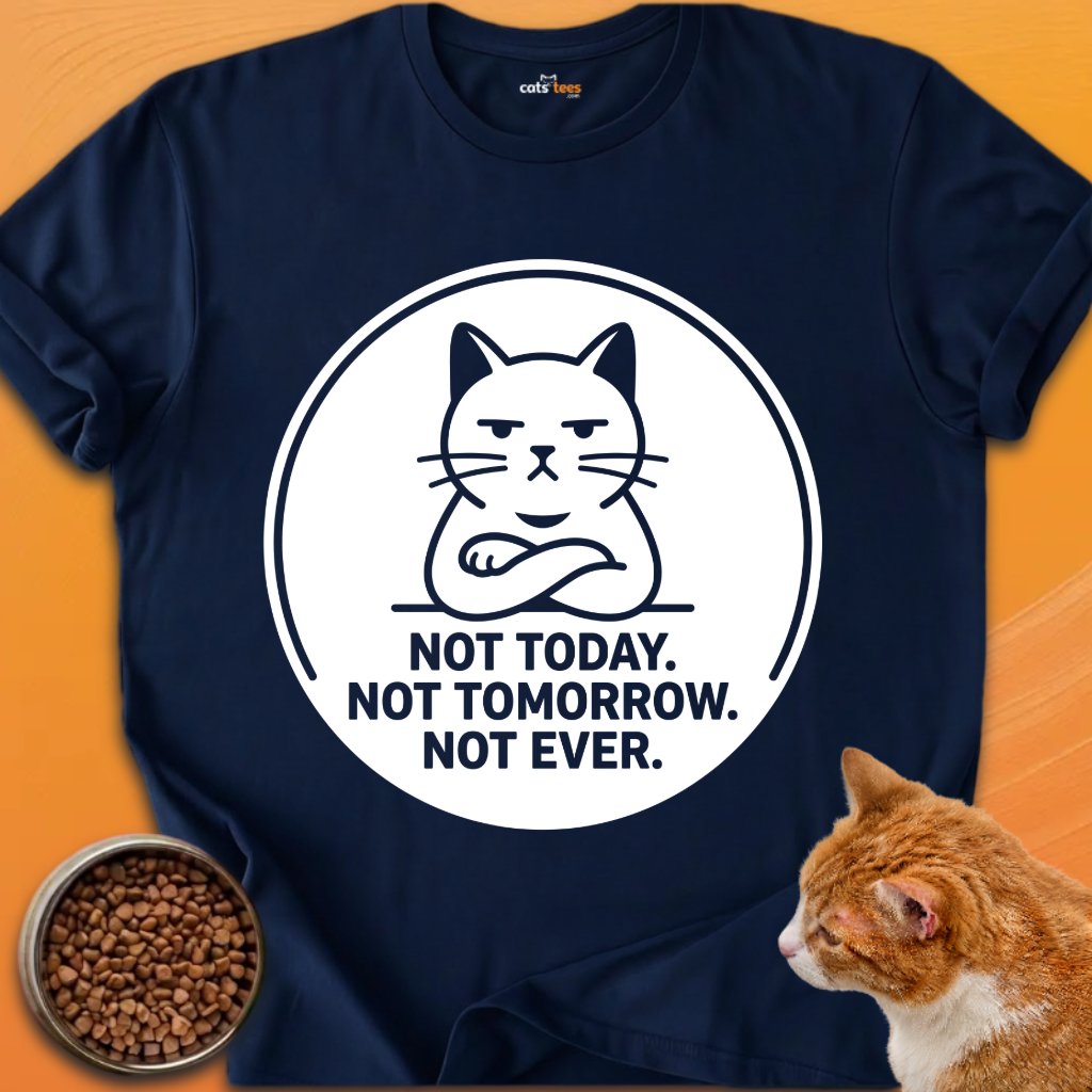 Not Today Not Tomorrow product image (10)