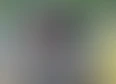 DIY's tag thumbnail