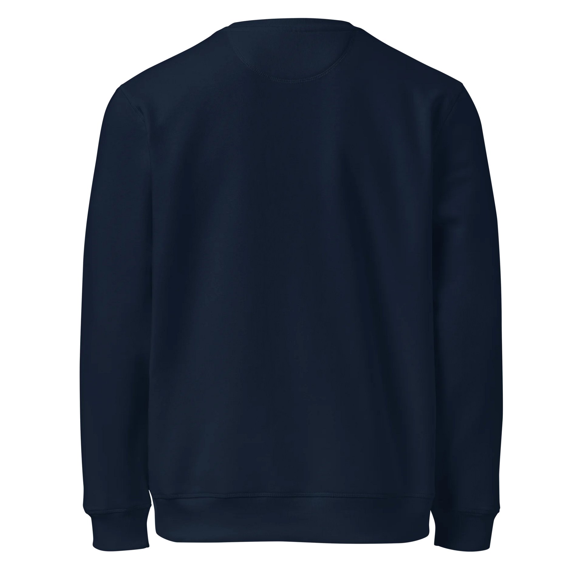 No Kings Sweatshirt product image (4)