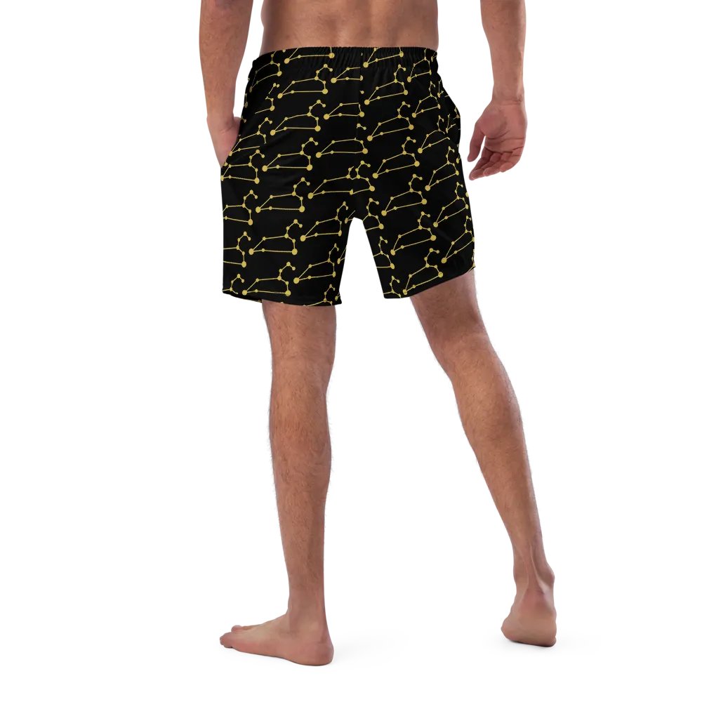 Celestial Leo Connection Swim Trunks product image (5)