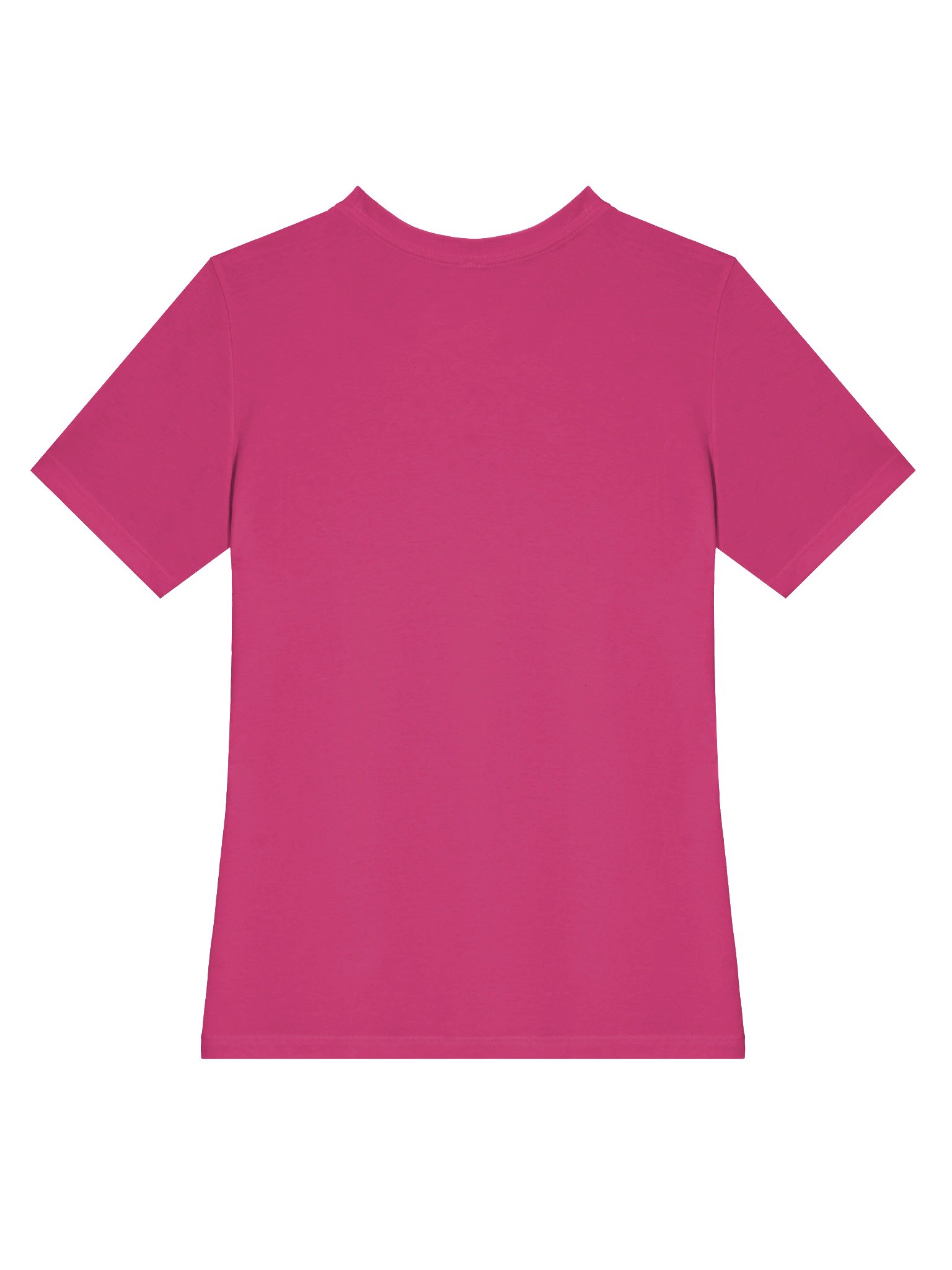 Gecko Tracks Women's Tee product image (18)