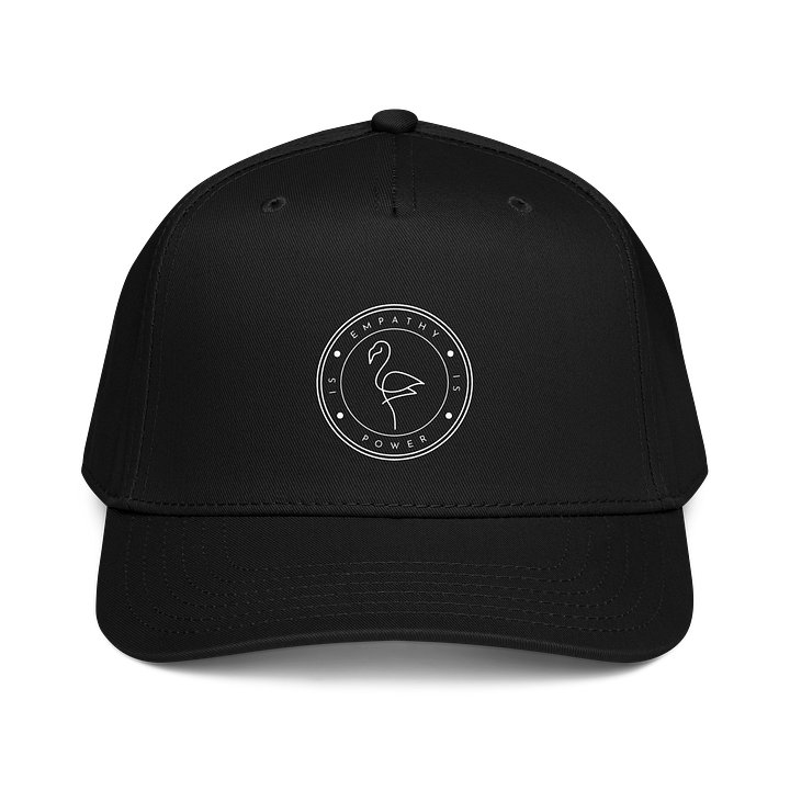 Empathy is Power Baseball Cap product image (1)