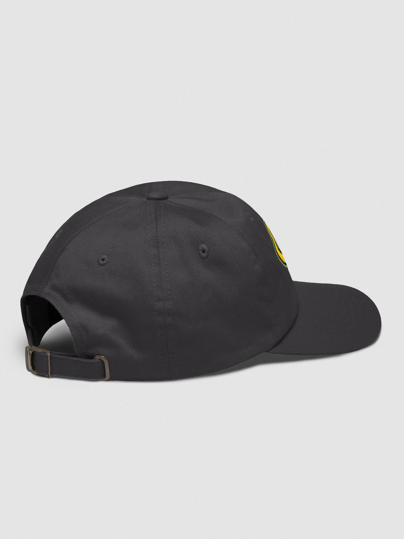 Cap - DerpCat II Holding 2025 Logo product image (4)