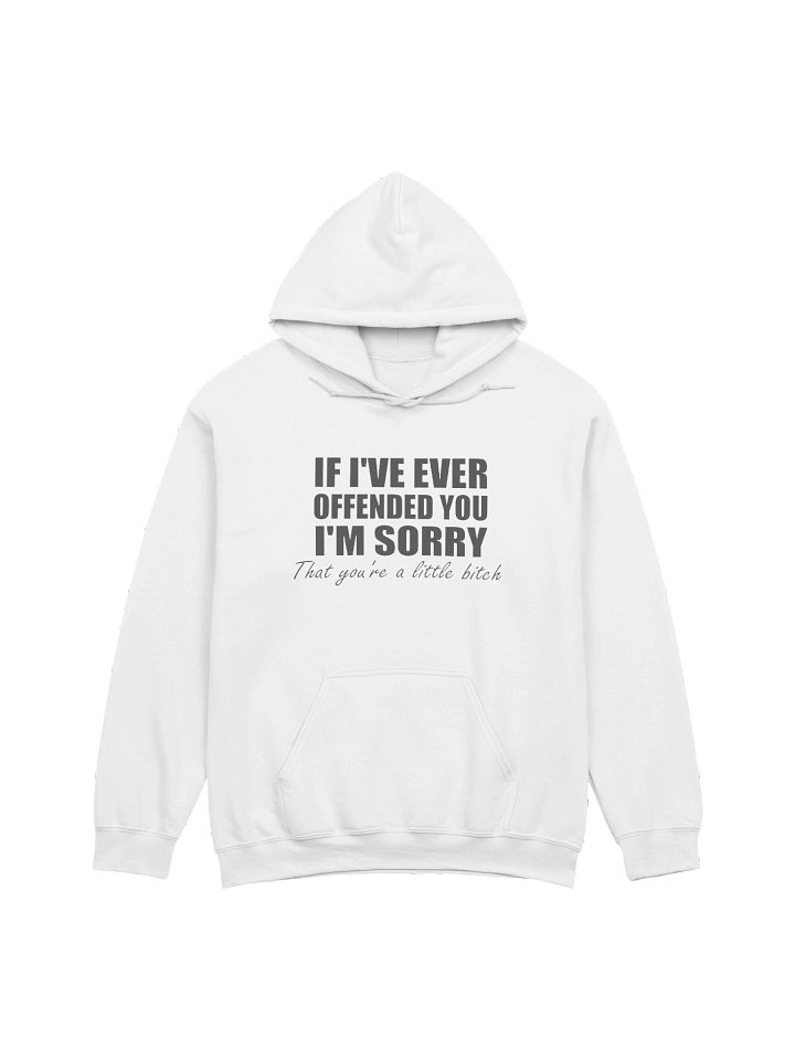 If I've Ever Offended You I'm Sorry That You're A Little Bitch Hoodie product image (1)