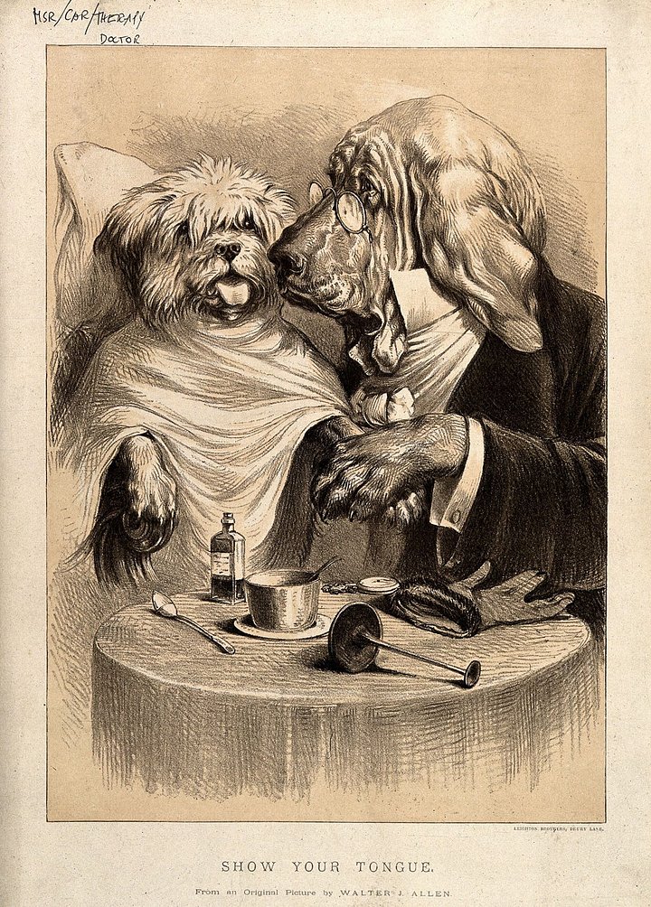 Vintage Art Download - WJ Allen, A Doctor Examining His Patient Bloodhound with Terrier, Lithograph product image (1)