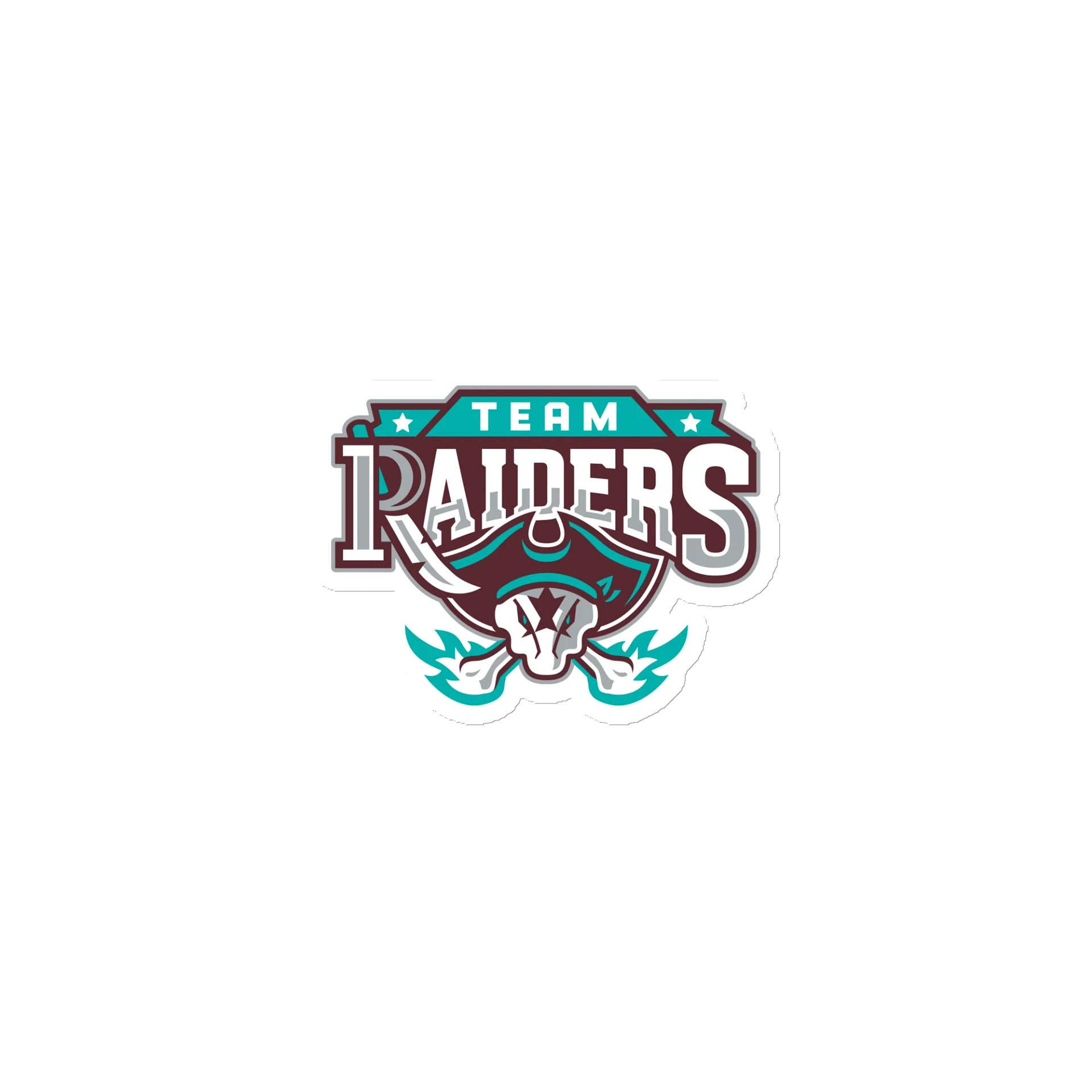 Team Raiders Magnet product image (1)