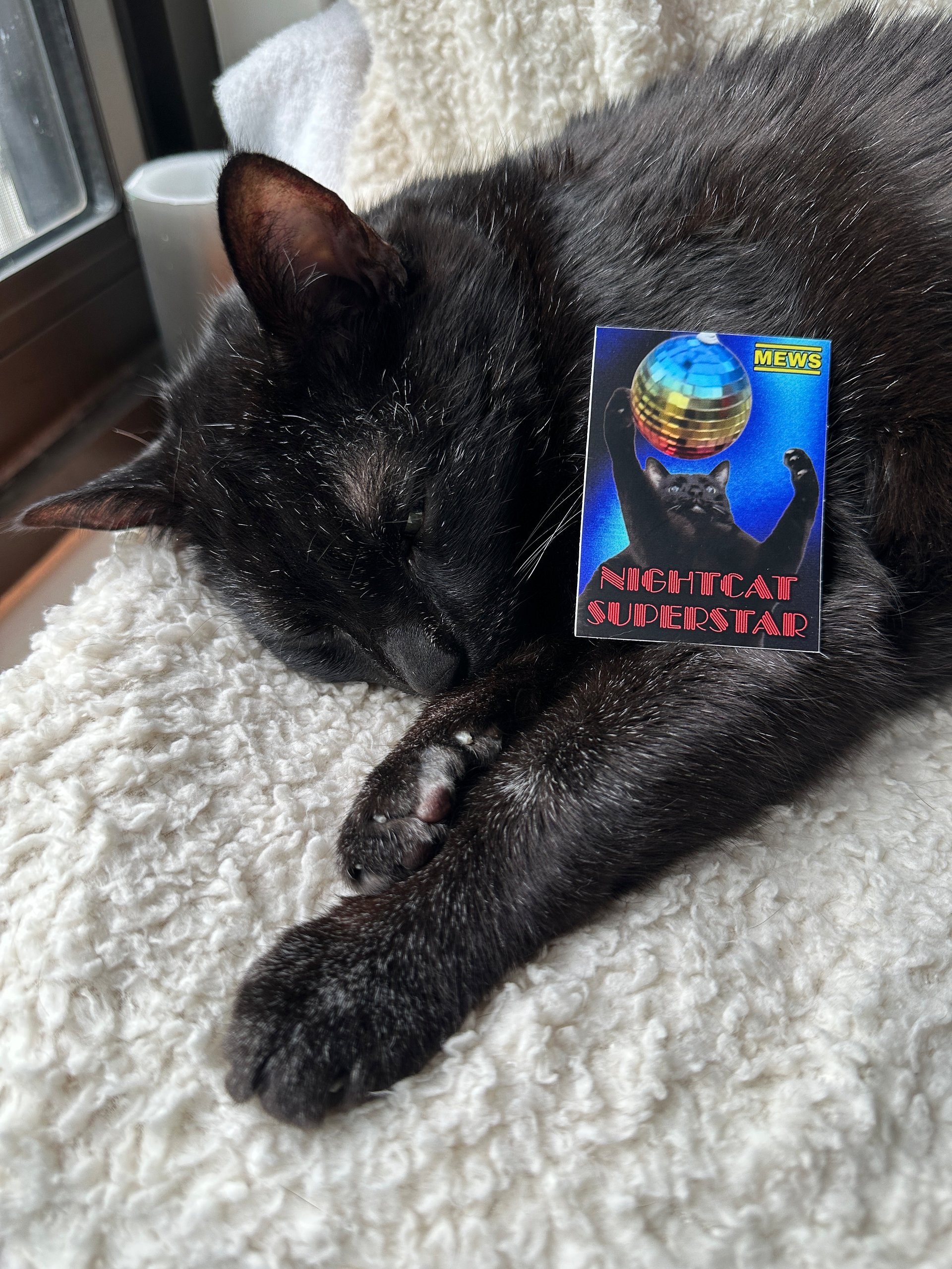 Nightcat Superstar sticker product image (2)