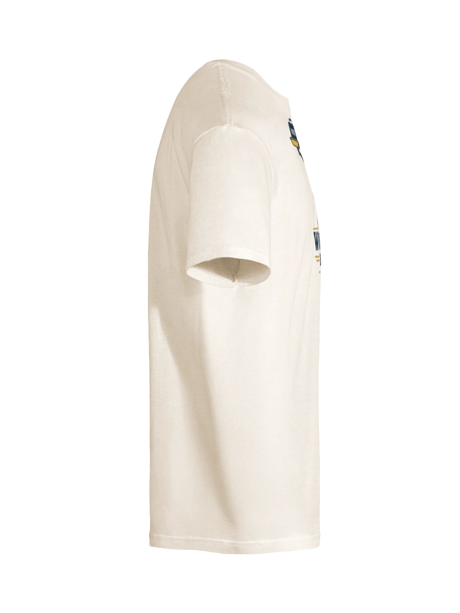 Work / Fish Balance T-Shirt product image (10)