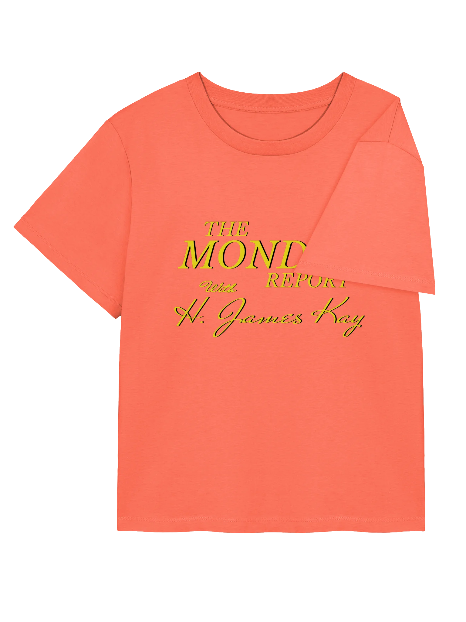 The Monday Report Ladies Tee Shirt product image (12)