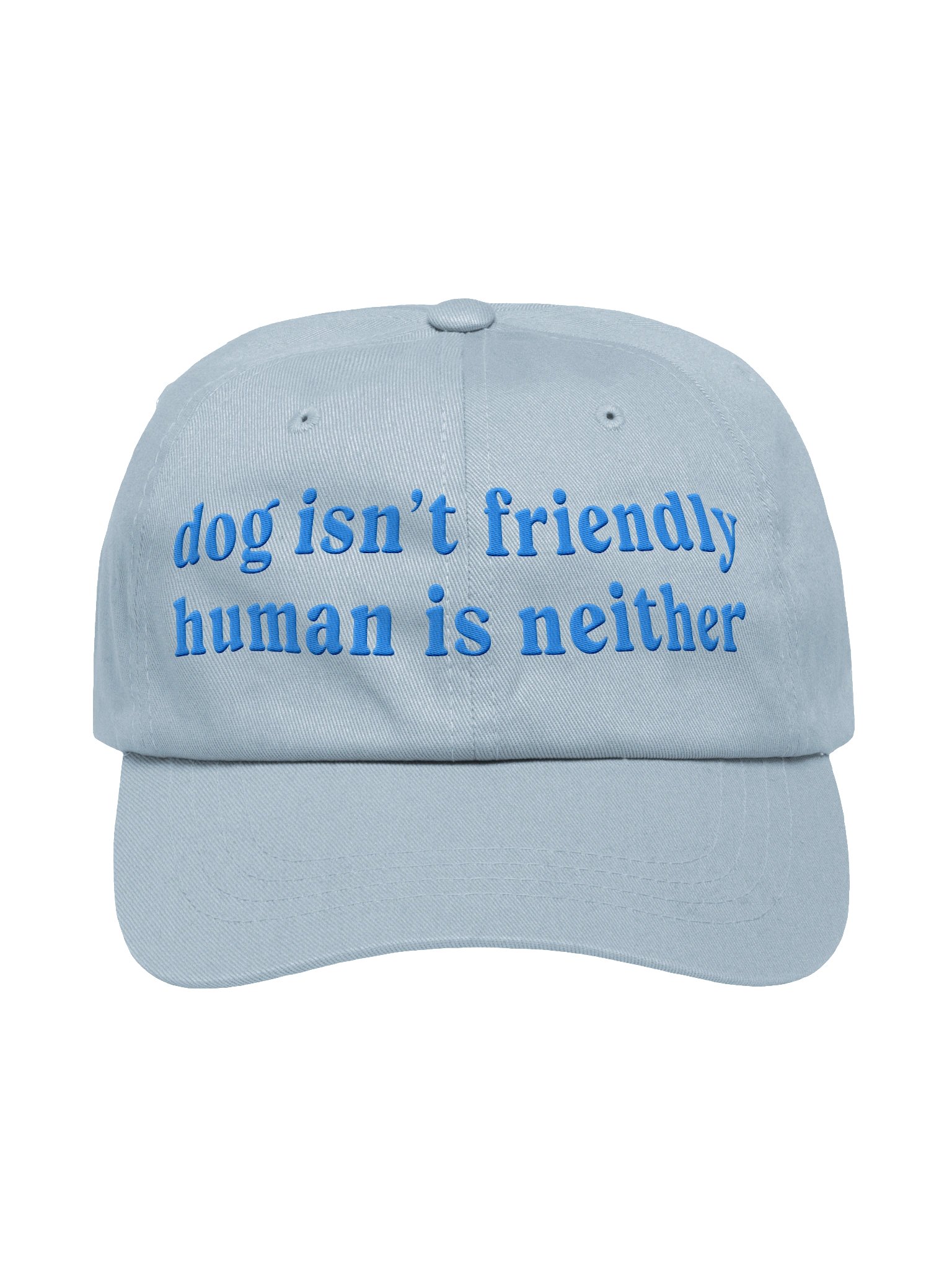 Dog Isn't Friendly. Human Is Neither (Embroidered) Low Contrast (Aqua) Classic Dad Hat product image (1)