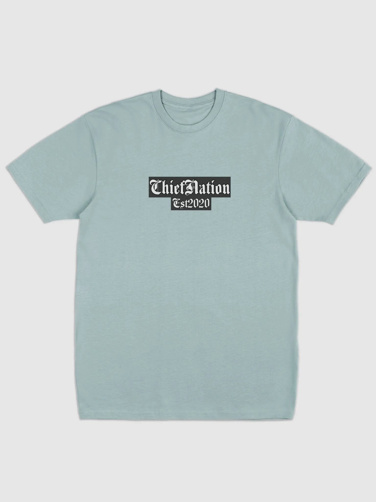 Native Identity Statement Tee ChiefNation Est2020 product image (5)
