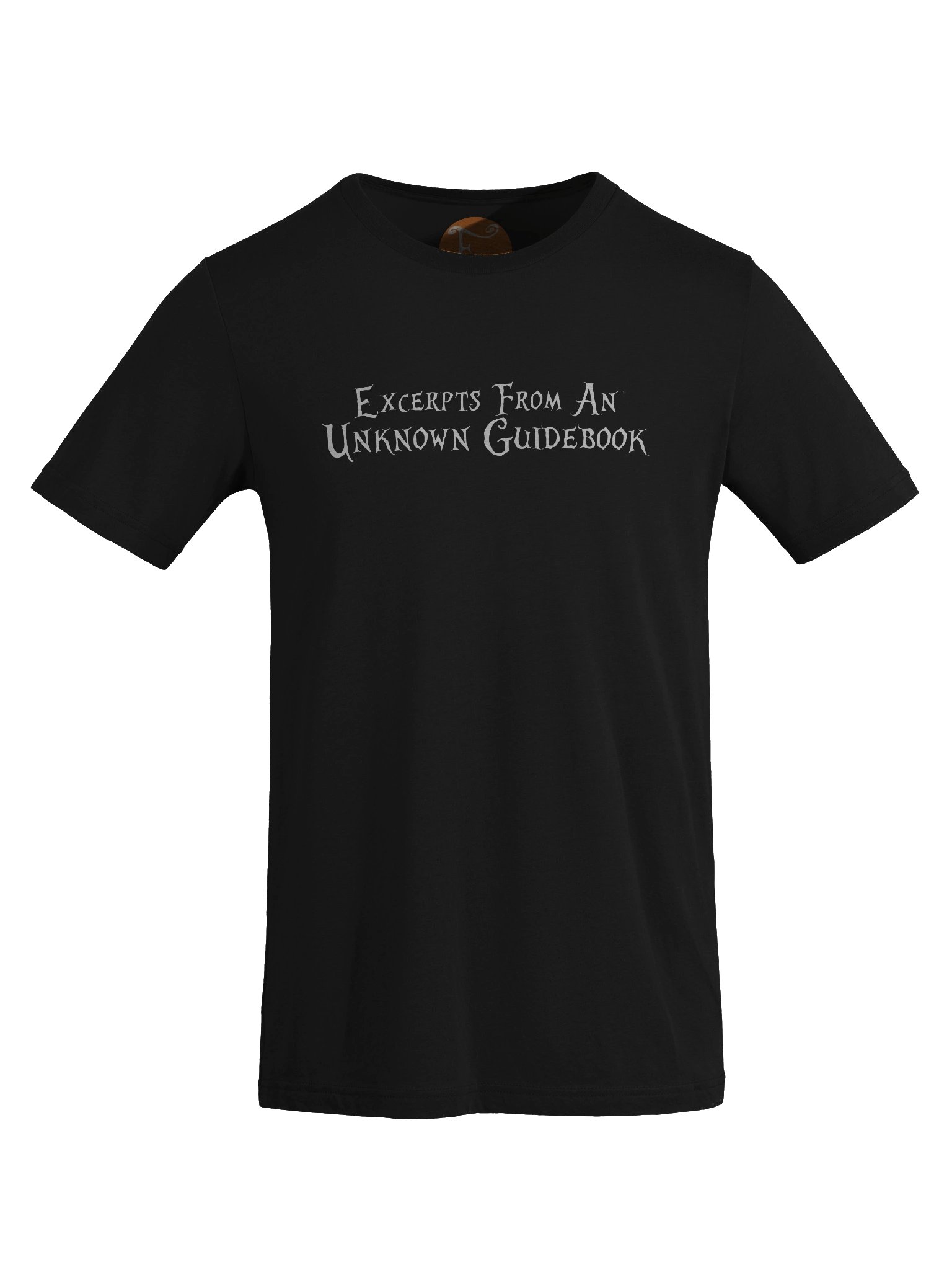 Excerpts from an Unknown Guidebook - Bella+Canvas Triblend Short Sleeve T-Shirt product image (8)