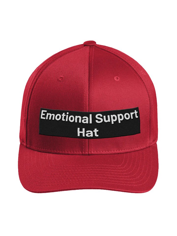 Flexfit Hat - Emotional Support product image (43)