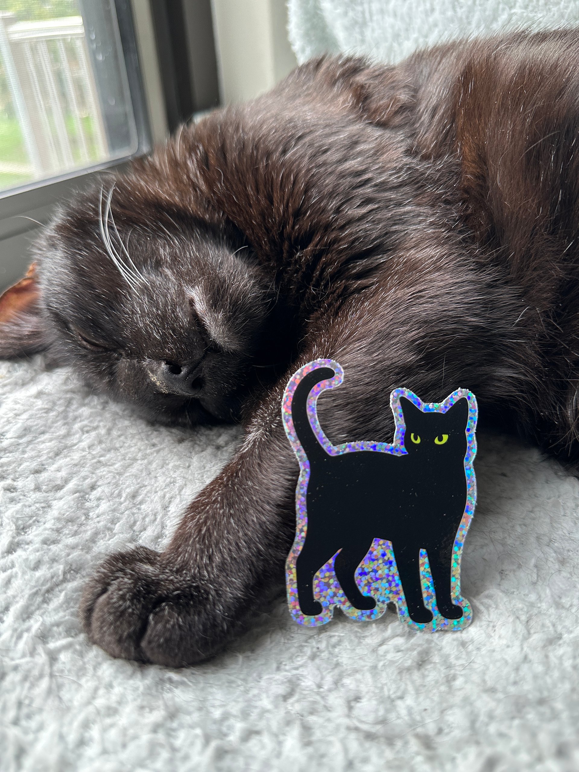 Glittery mysterious black cat sticker product image (2)
