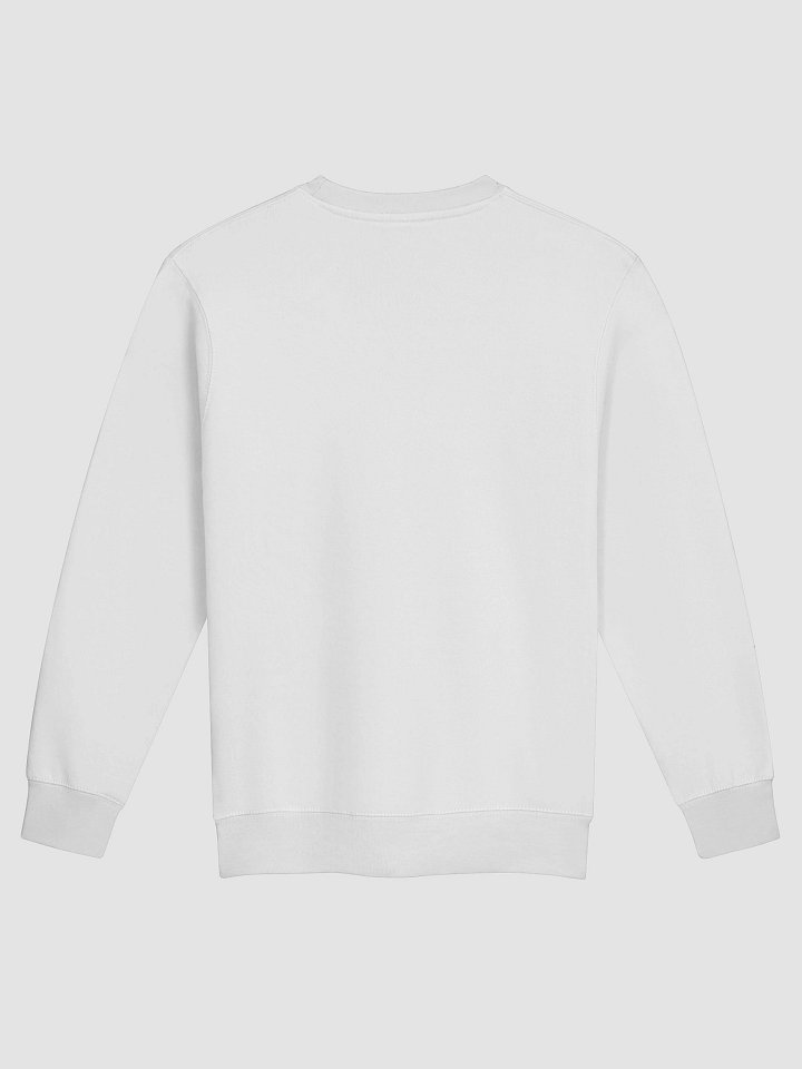 Cubezalot Originals - Icon 2 Sweater product image (10)