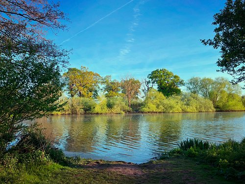 We never get tired of beautiful views on nature walks 😍🌳
#natureview #walksinnature #outdoors #freshair #sunshine