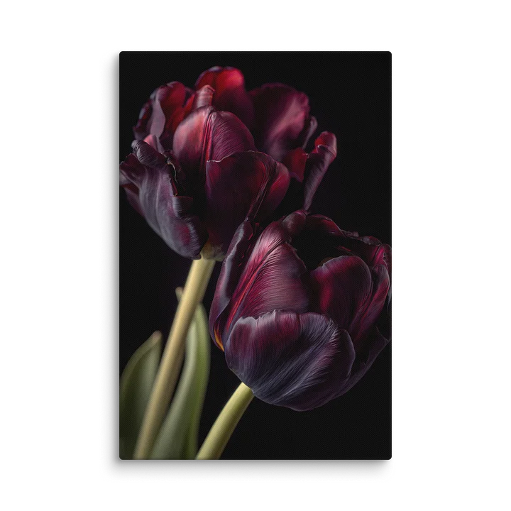Tulips After Dusk III — Carmine Duet Canvas product image (1)