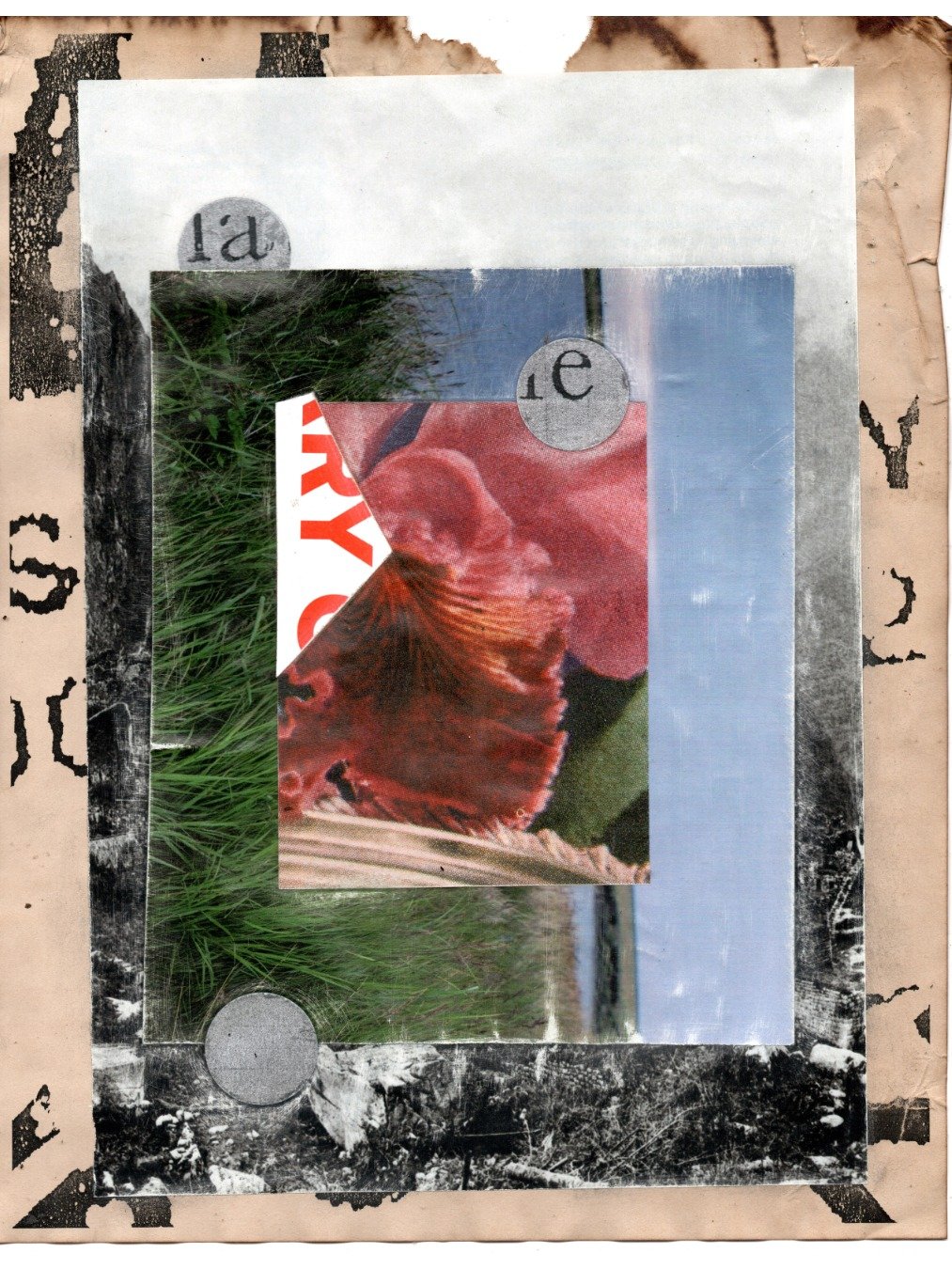 contrast without the intervention product image (1)