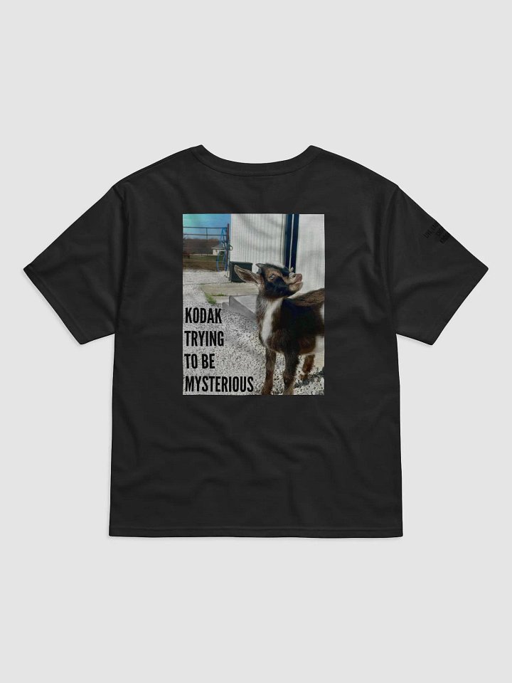 Tee Shirt ft. Kodak product image (1)