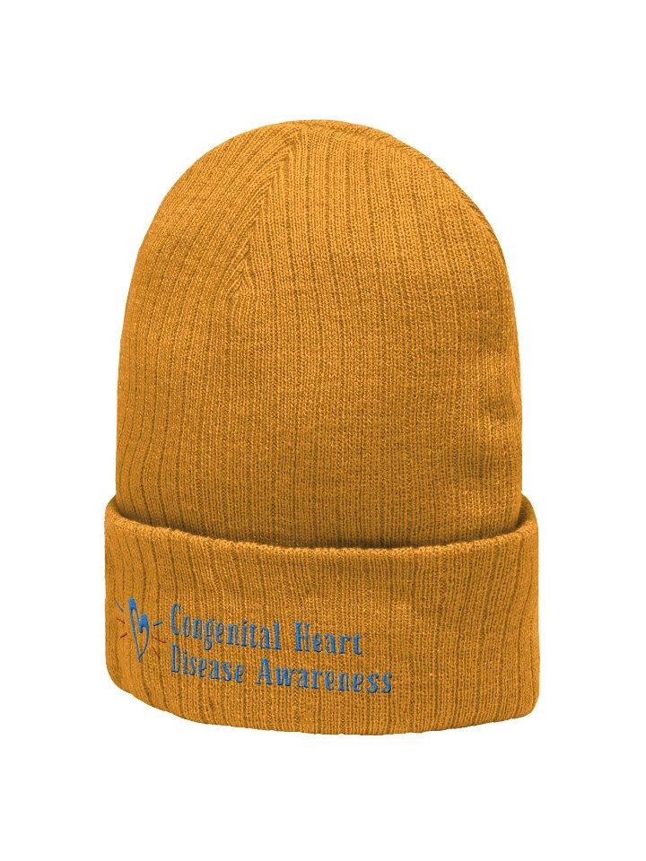 Premium Ribbed CHD Awareness Beanie product image (20)