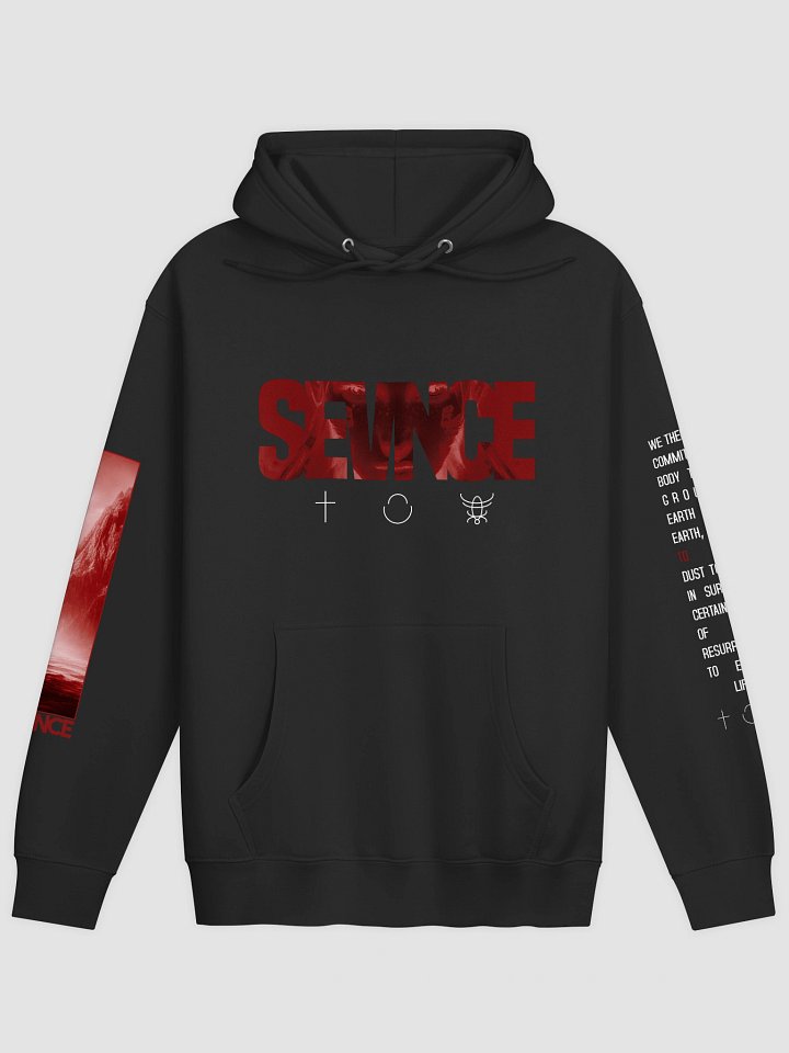 Ashes Hoodie product image (1)