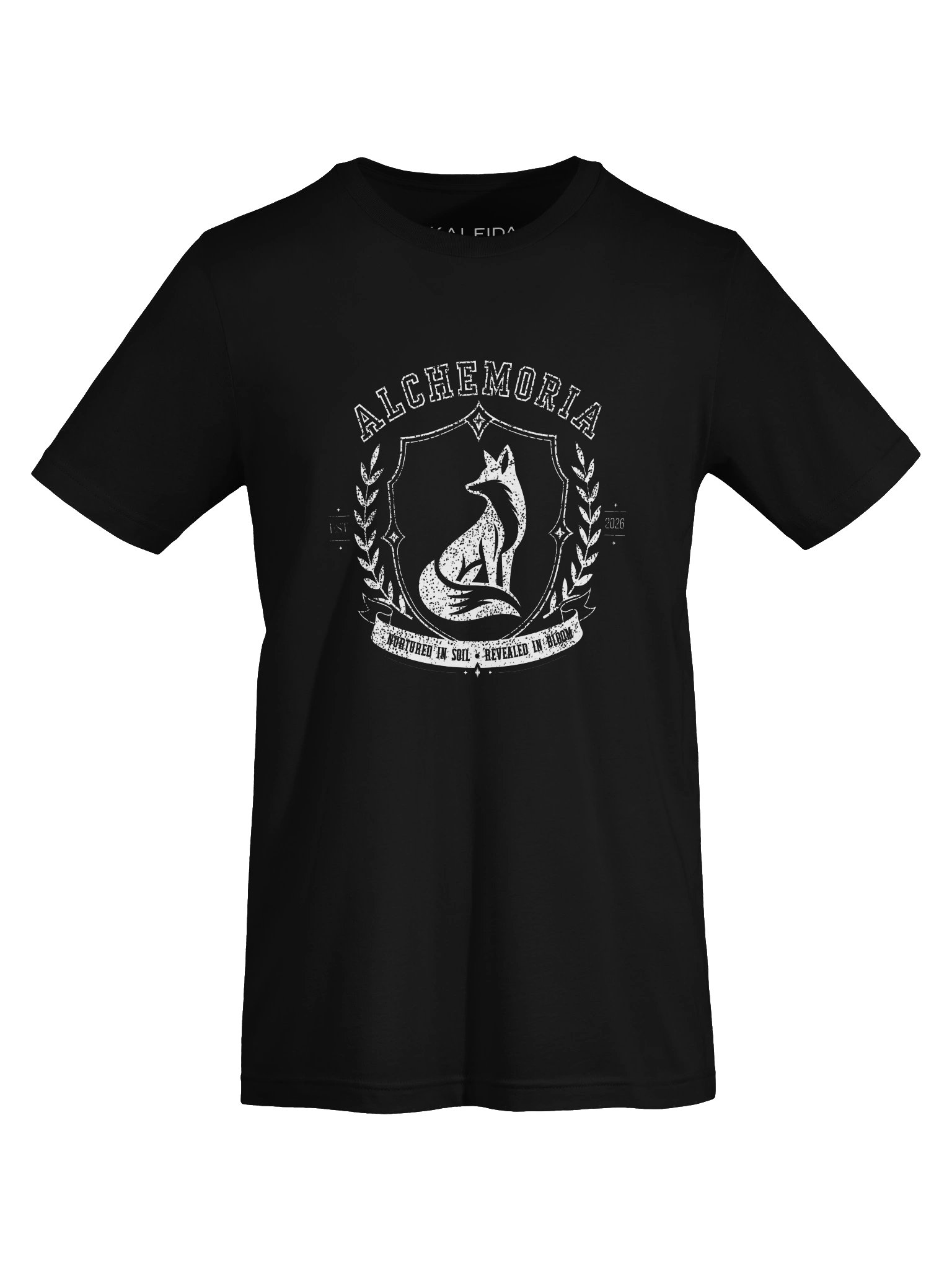 Alchemoria Founder's Tee product image (5)