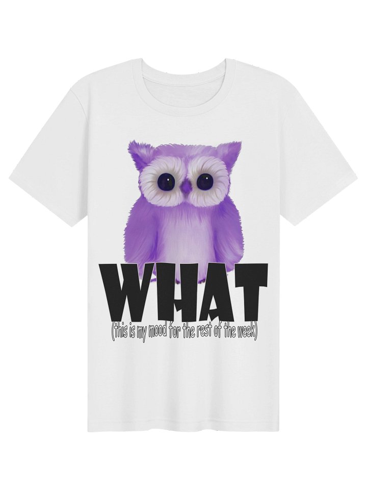 Owl "WHAT" T-Shirt. Women's Bella+Canvas Supersoft T-Shirt product image (1)