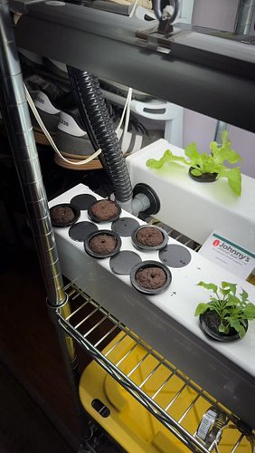 The plants, they are a-growin’.