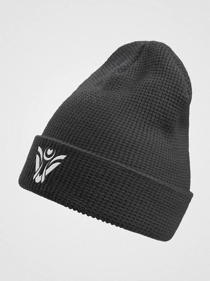 Visionary Beanie product image (2)