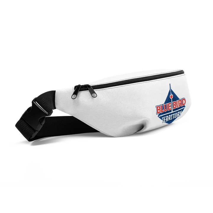 White Fanny Pack product image (2)