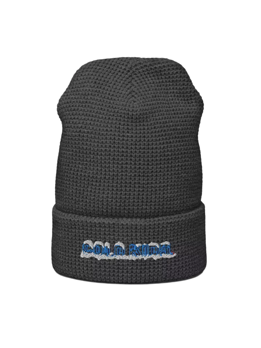 OG Cold Kids Waffle Beanie product image (1)