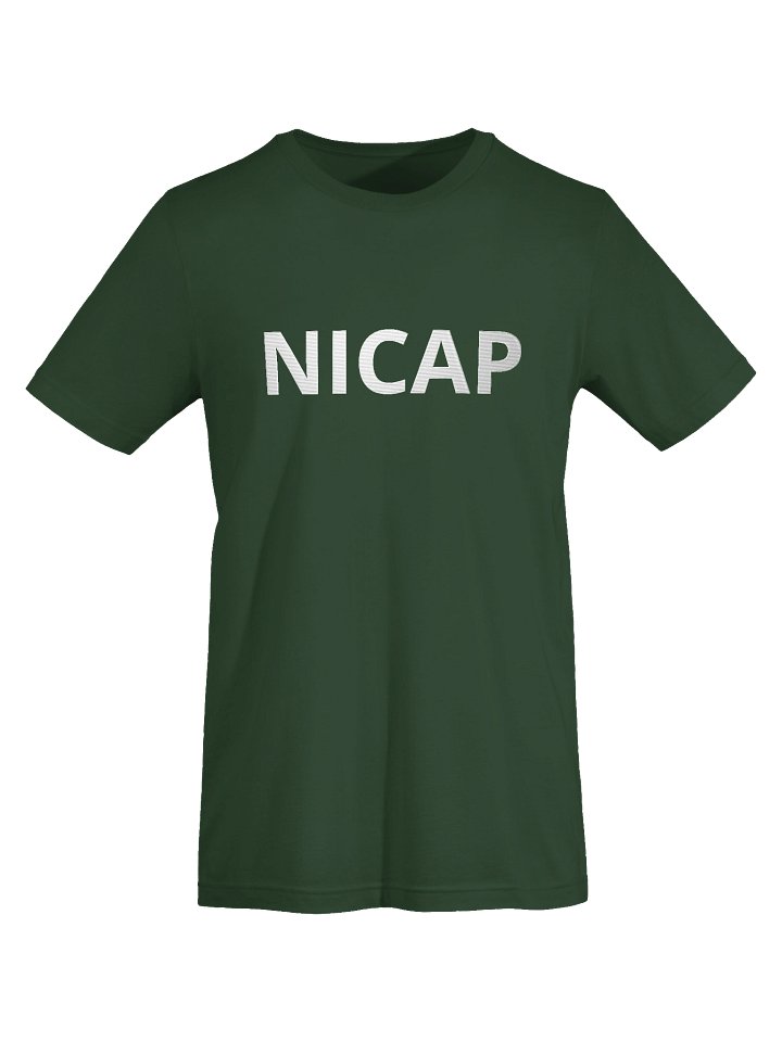 NICAP Embroidered T-Shirt, Fallen Angel, Multiple Colors T-Shirt, Sci Fi Lovers Gift T-Shirt product image (41)