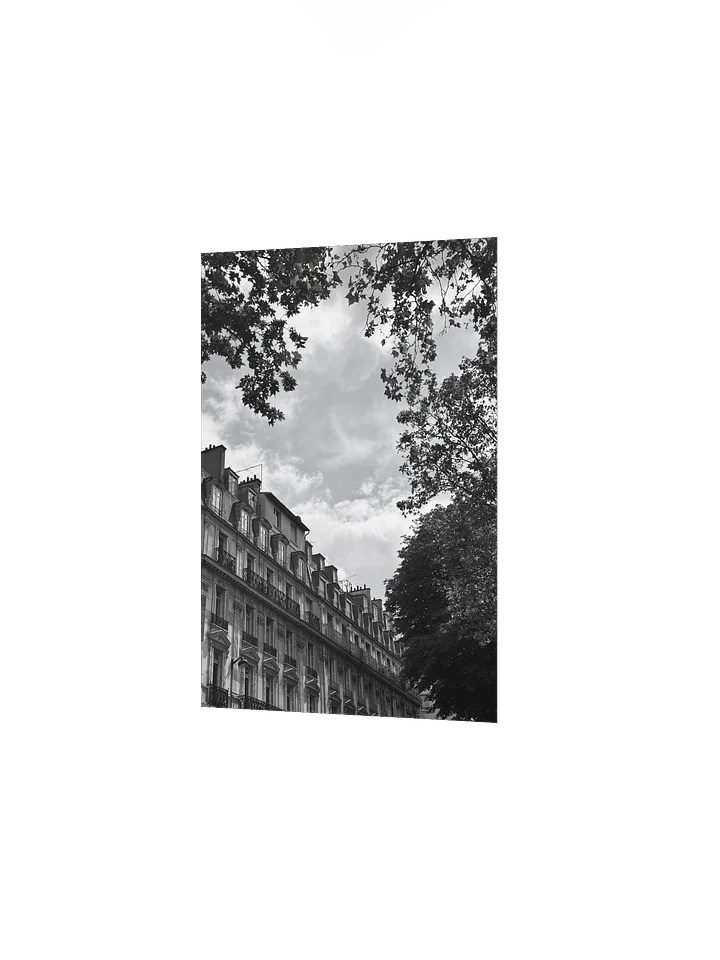 Toits ciel parisien dé-saturé (impression) product image (2)