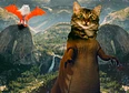 members only's tag thumbnail
