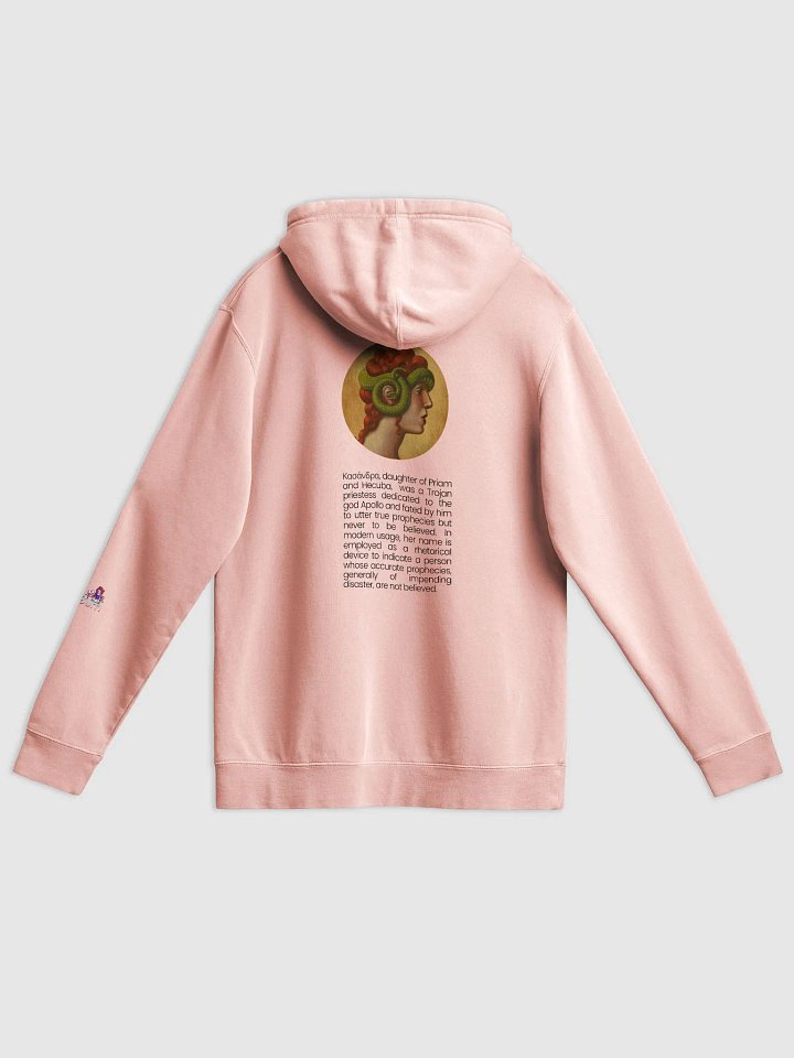 KASSANDRA FORESIGHT pigment dyed hoodie product image (2)
