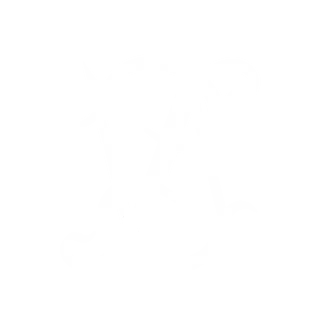 Animashi