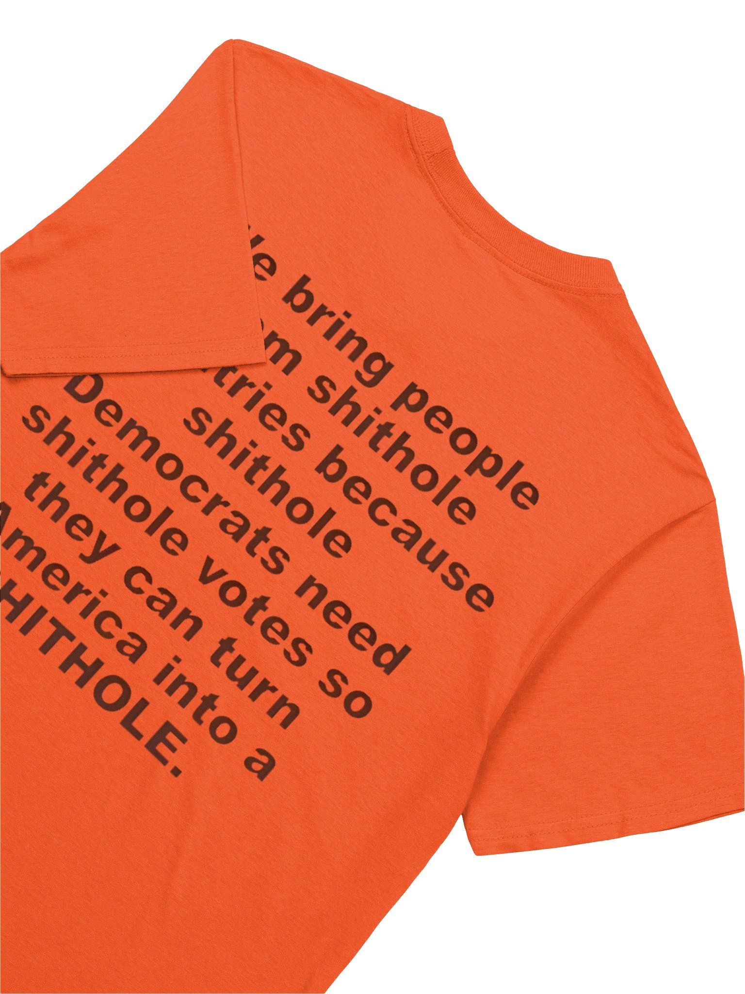 We Bring People From Shithole Countries Anti-Democrat Graphic Shirt product image (4)