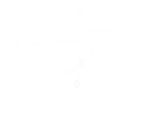 Root Level Syndicate