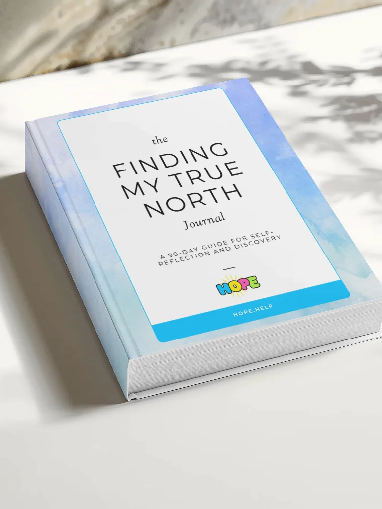 Finding My True North Journal: A 90-Day Guide to Self-Reflection and Discovery product image (3)