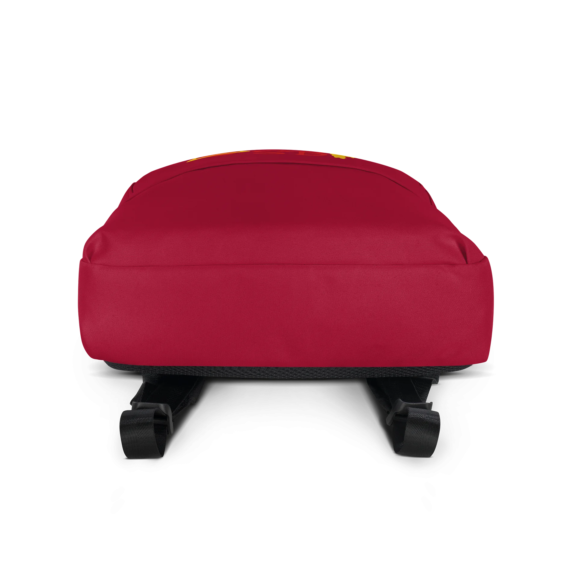 SBP Backpack product image (4)
