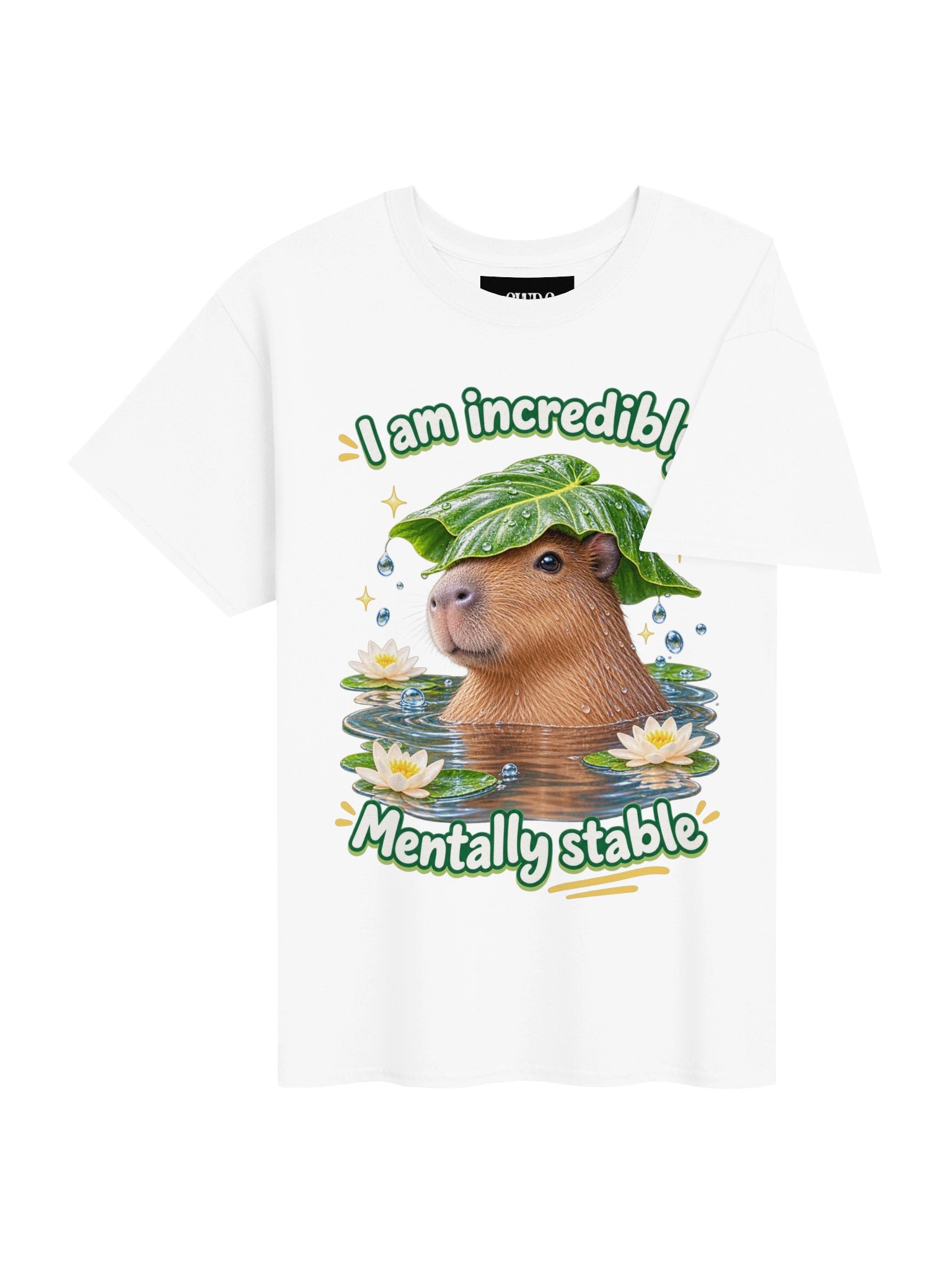 Incredibly mentally stable capybara product image (34)
