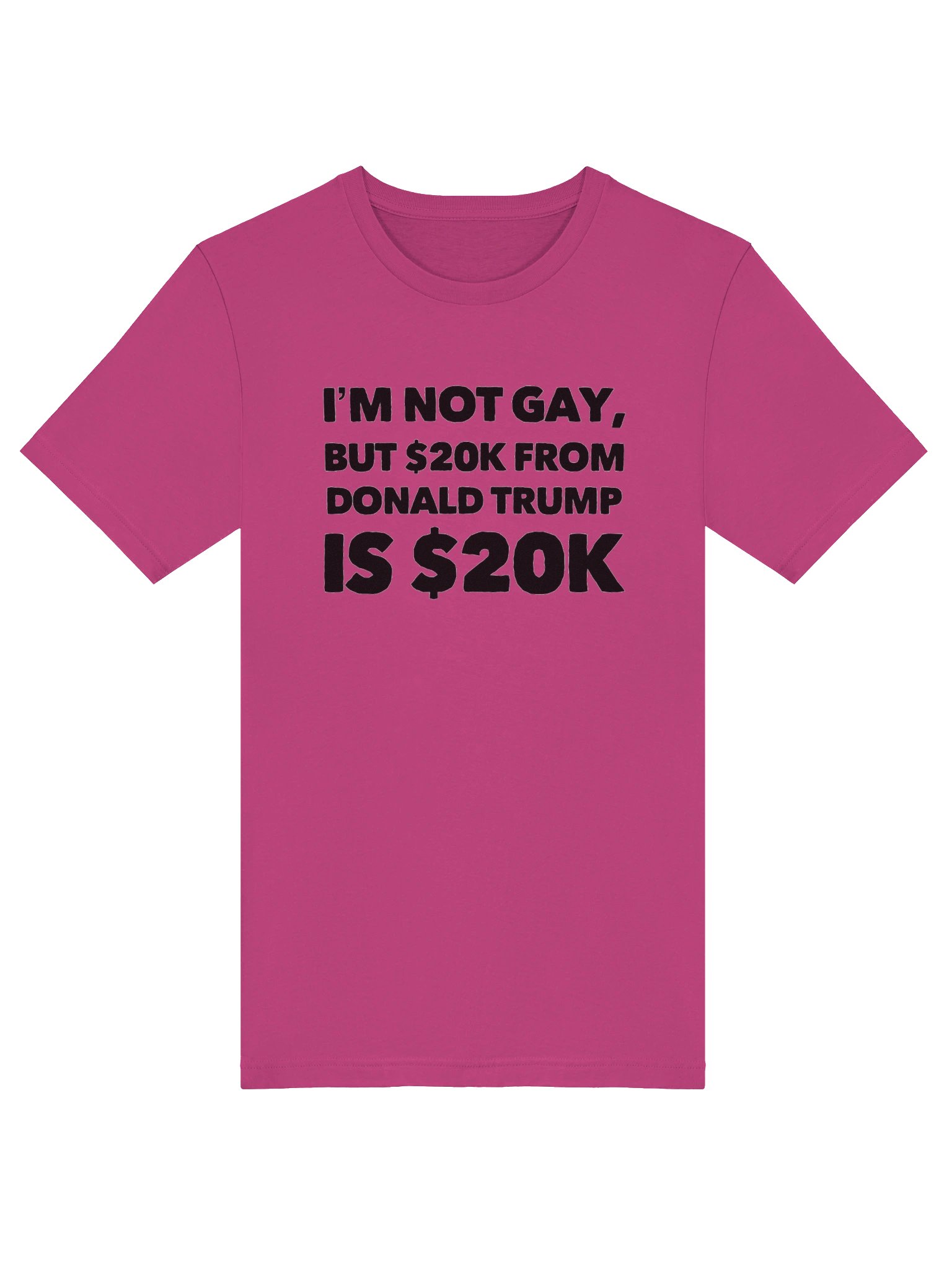 Not Gay $20K Tee Shirt product image (17)