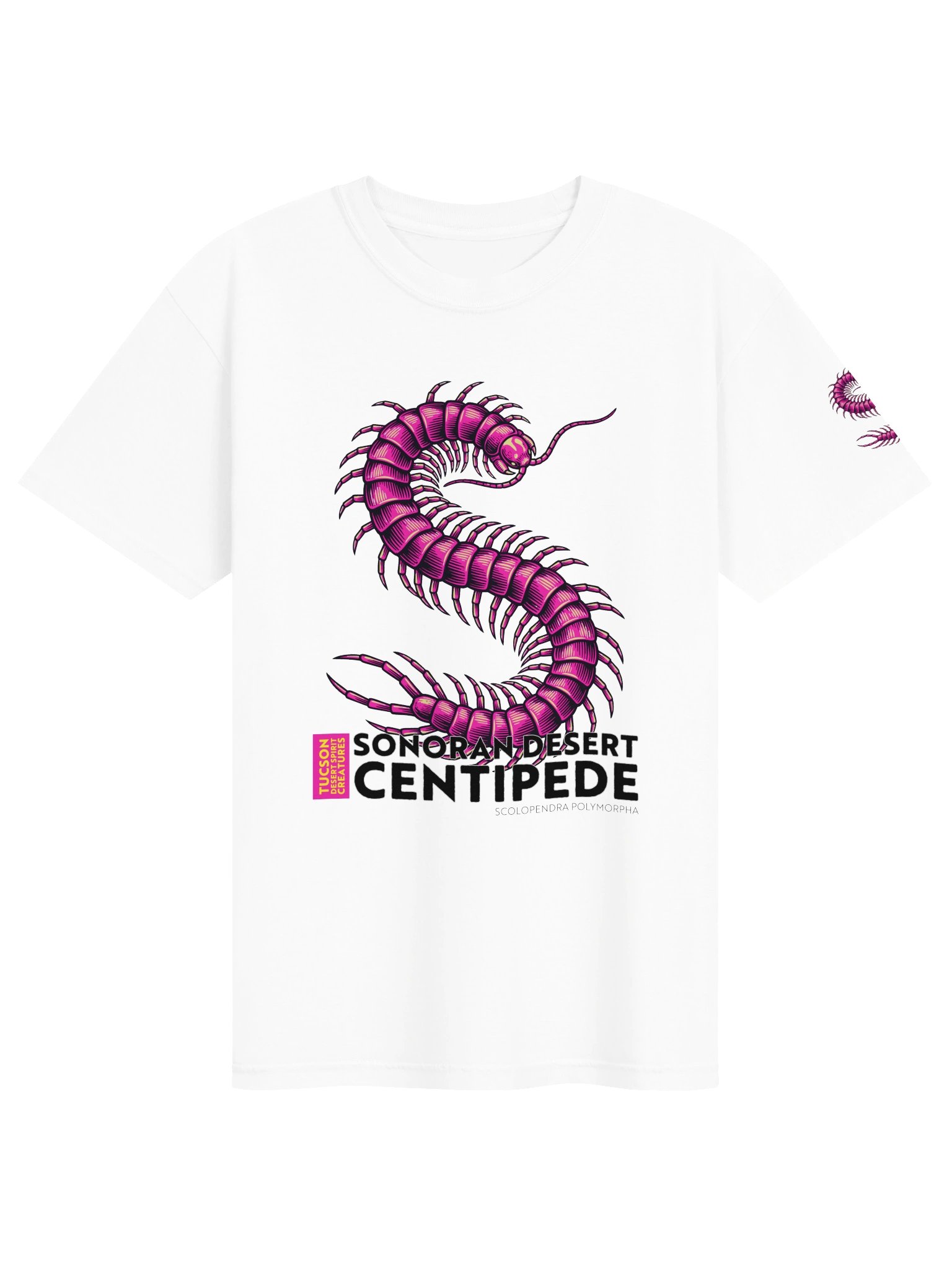 SONORAN DESERT CENTIPEDE product image (163)