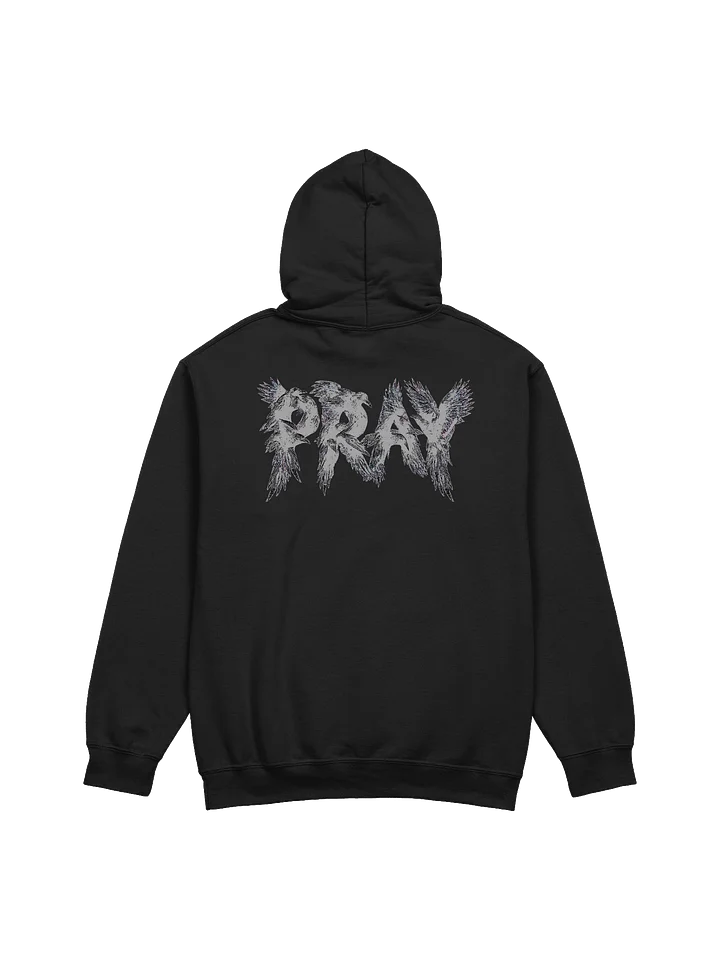 Birds Of Pray Hoodie product image (1)