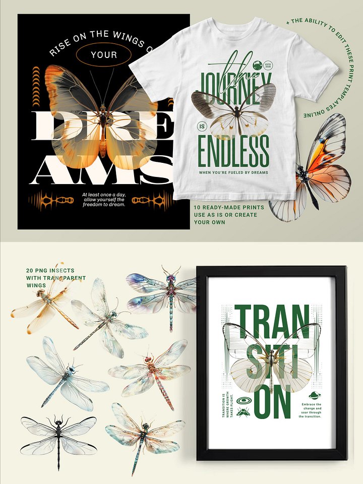 Transparent Wings Contemporary Art product image (2)