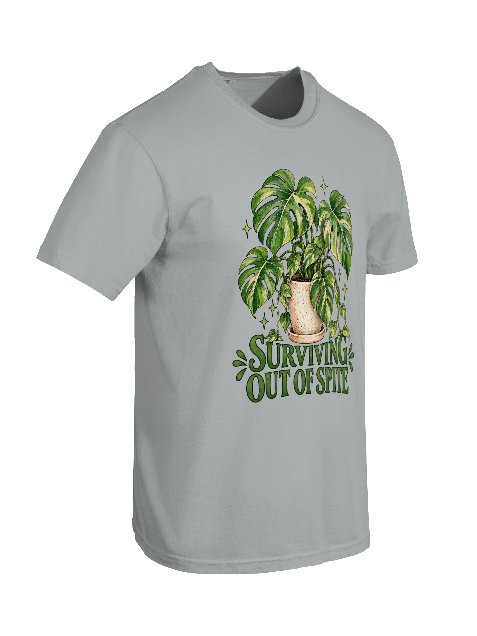 Surviving Monstera product image (6)