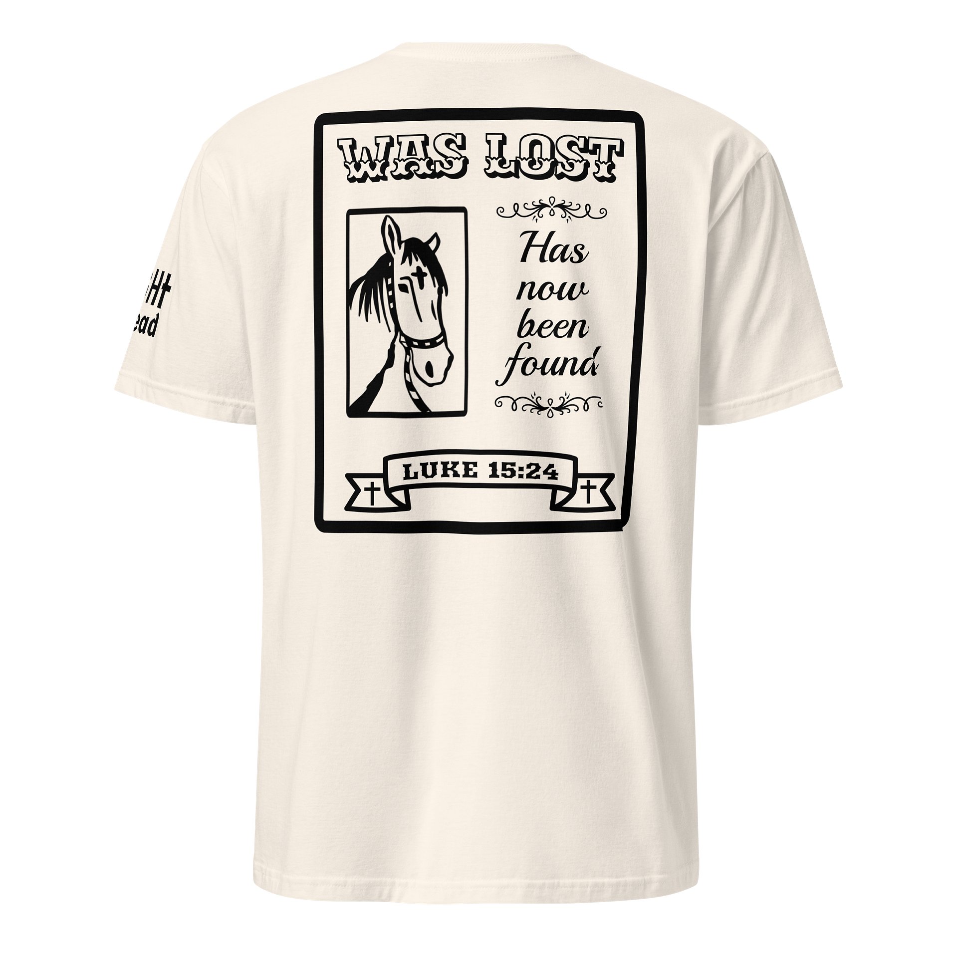 Luke 15:24 product image (1)