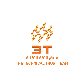 3T