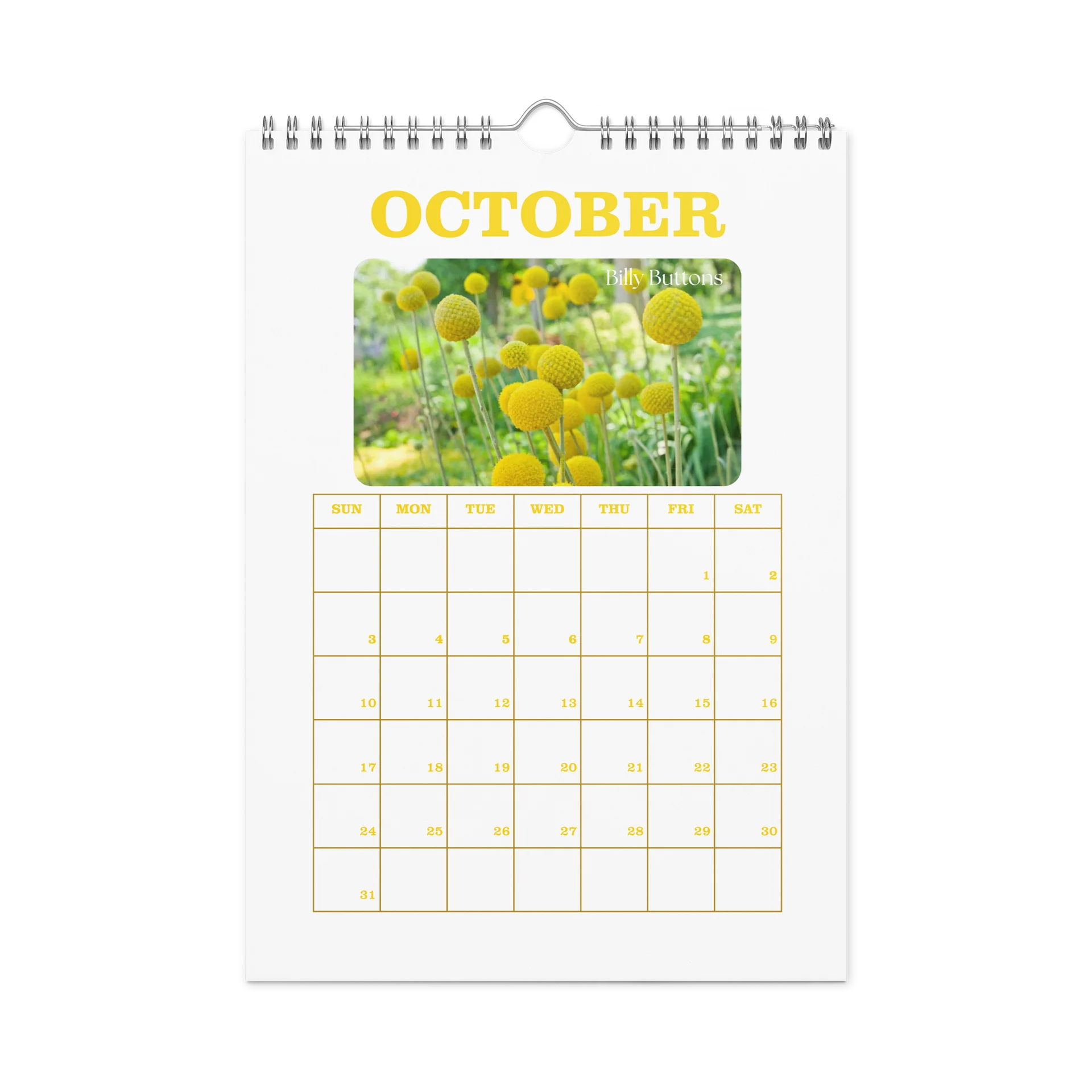 2027 - PRIDE WITH AUSTRALIAN NATIVE FLORA - Wall Calendar product image (12)