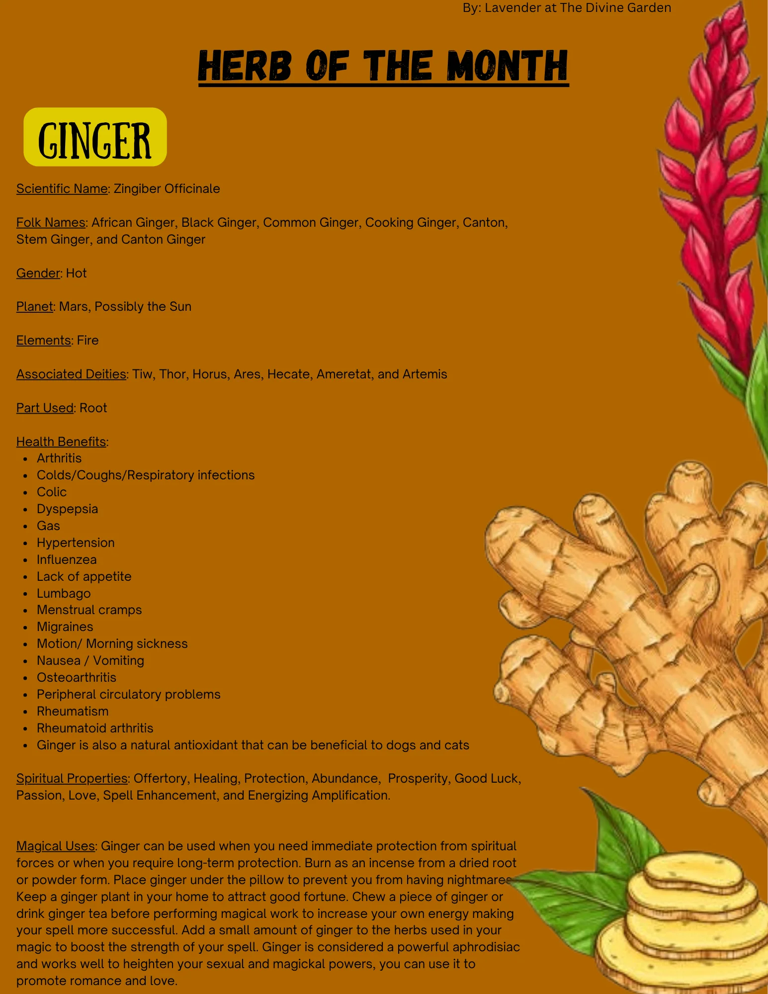 Ginger product image (1)